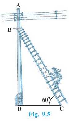 Page 136 Chapter 9 Class 10th Maths NCERT 2024-25